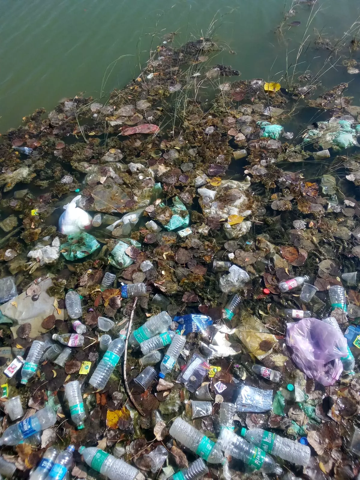 அசுத்தமாகும் ஏரி நீர்