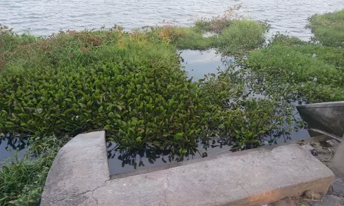 தூர்வாரப்படுமா?