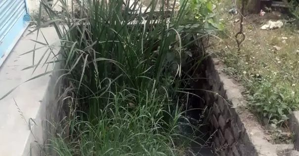 வாறுகால் தூர்வாரப்படுமா?