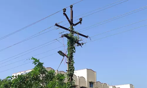 மின் விளக்கு எரியுமா?