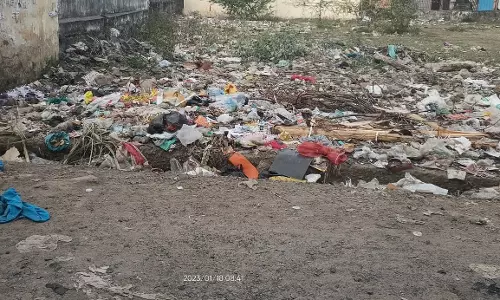 தெருக்களில் குப்பைகள்