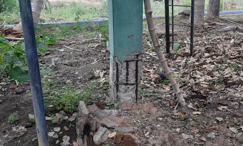 நடவடிக்கை தேவை