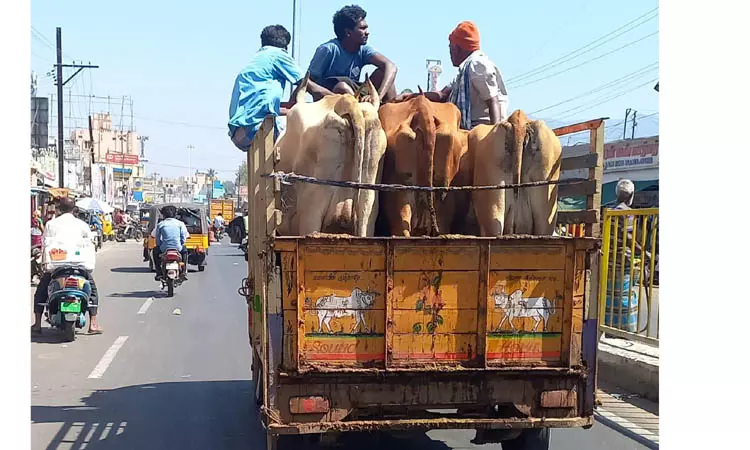 விதிமுறையை மீறும் வாகனங்கள்