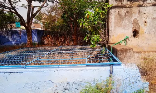 மோட்டார் அறையில் வளர்ந்த மரம்