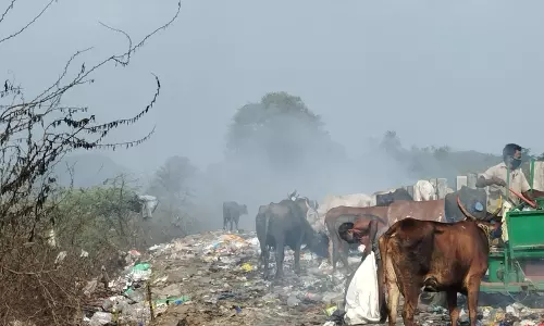 சுற்றுச்சூழல் மாசு