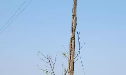 பழுதடைந்த மின் கம்பம்