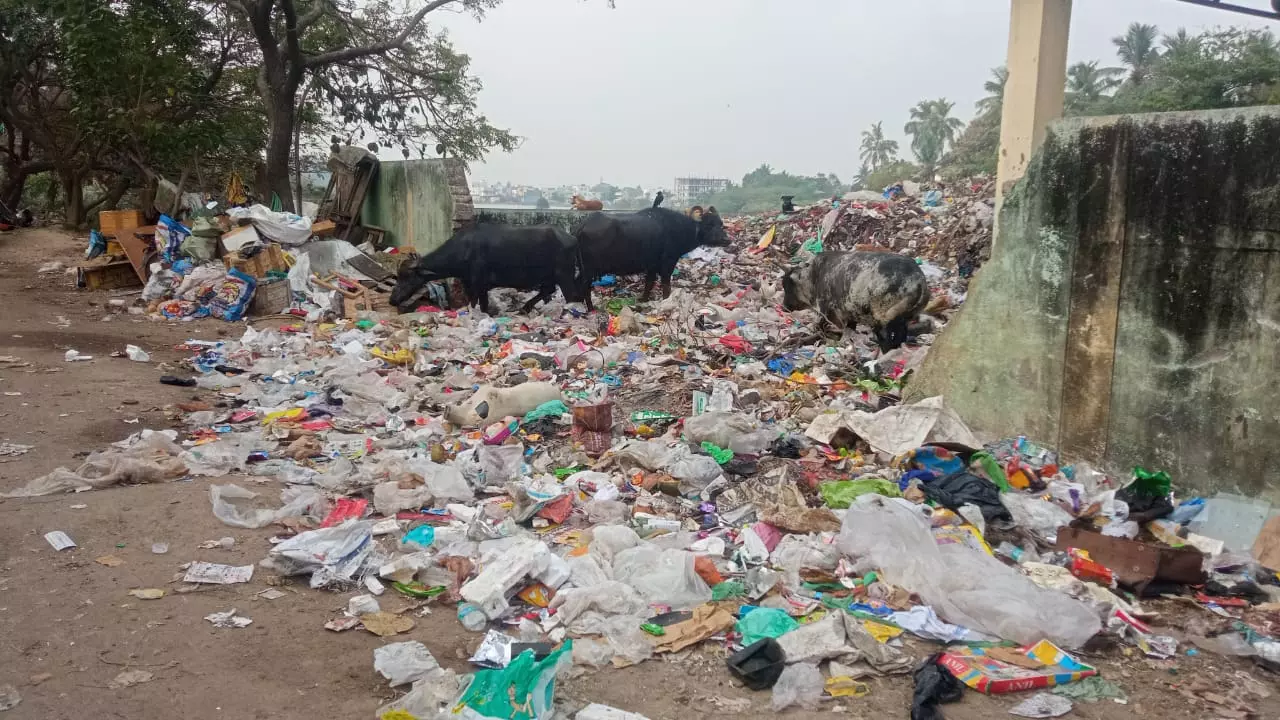 ஏரியில் கொட்டப்படும் குப்பைகள் ஏரியில் கொட்டப்படும் குப்பைகள்