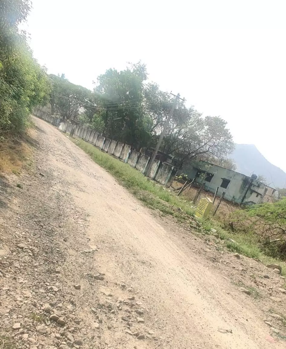 சேதம் அடைந்த சாலை