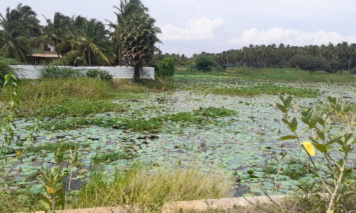 தூர்வார வேண்டும்