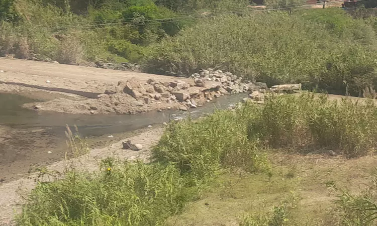 மேம்பால பணியை விரைந்து முடிக்க வேண்டும் மேம்பால பணியை விரைந்து முடிக்க வேண்டும்