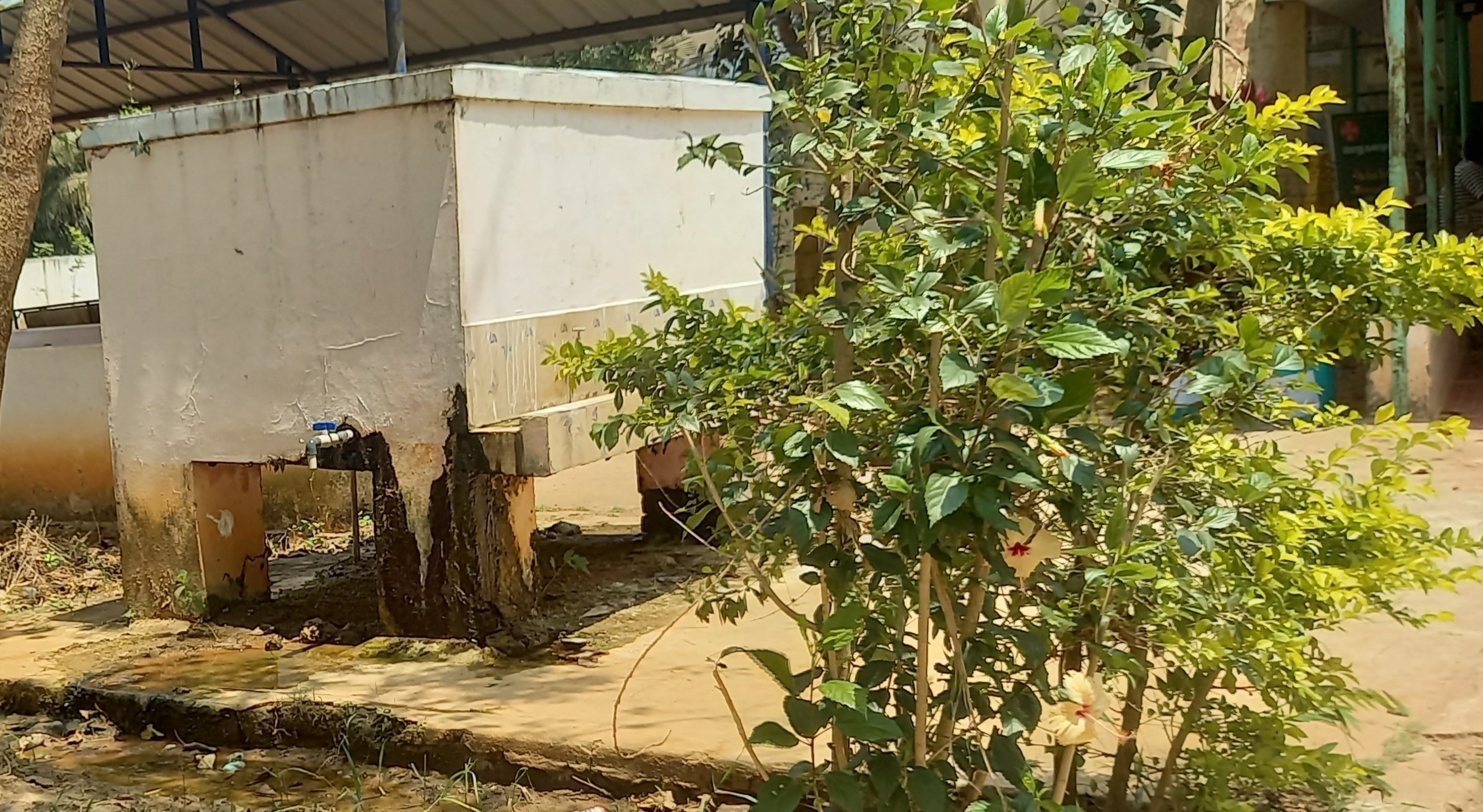 பாசி படிந்த குடிநீர் தொட்டி