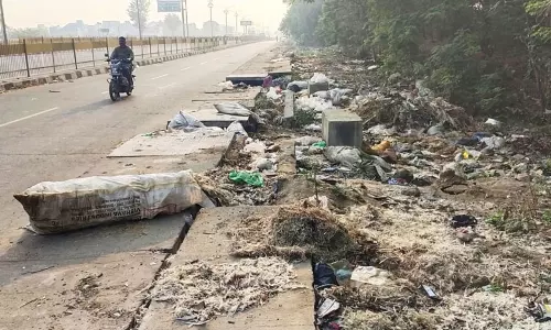 ரோட்டில் கொட்டப்படும் இறைச்சி கழிவுகள் ரோட்டில் கொட்டப்படும் இறைச்சி கழிவுகள்