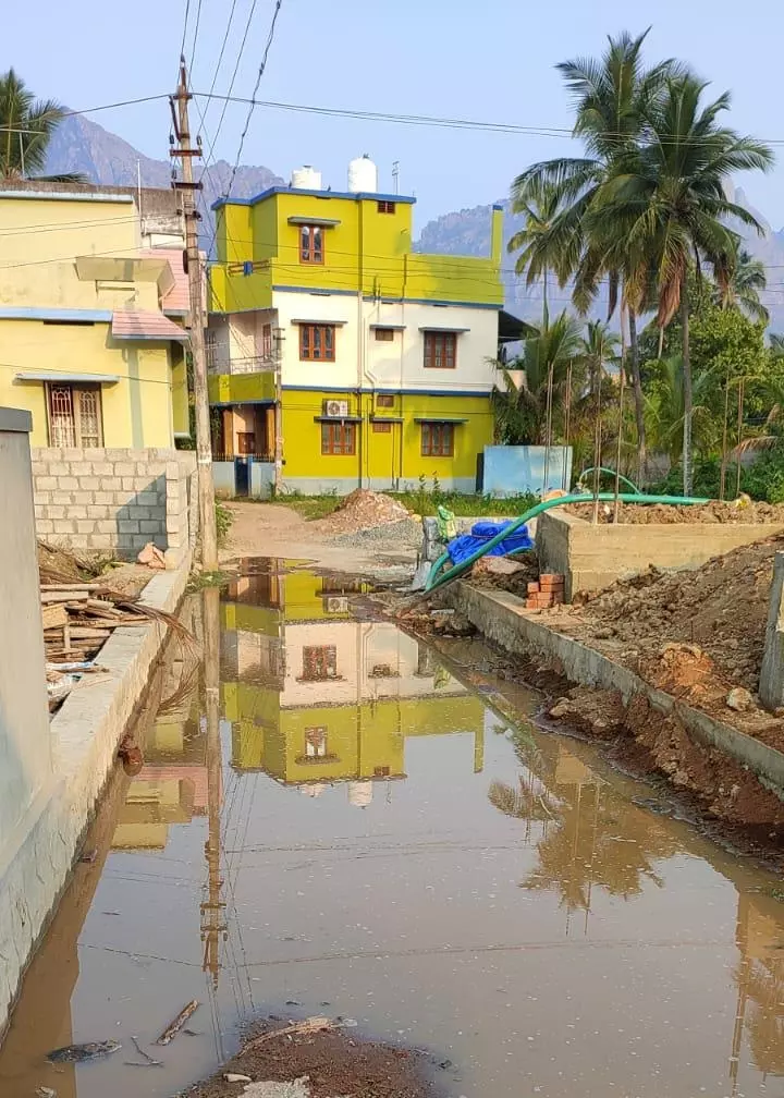 நடவடிக்கை எடுப்பார்களா?