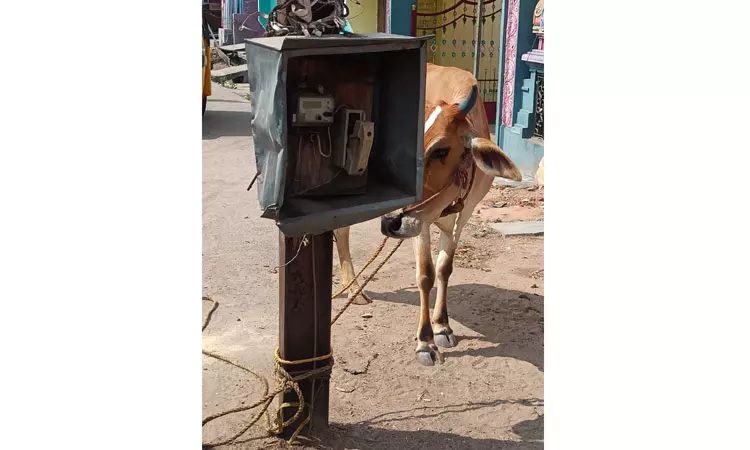 ஆபத்தான மின் பெட்டி