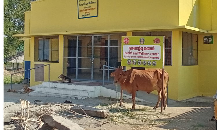 கால்நடைகளை கட்டுவதை தடுக்க வேண்டும் கால்நடைகளை கட்டுவதை தடுக்க வேண்டும்
