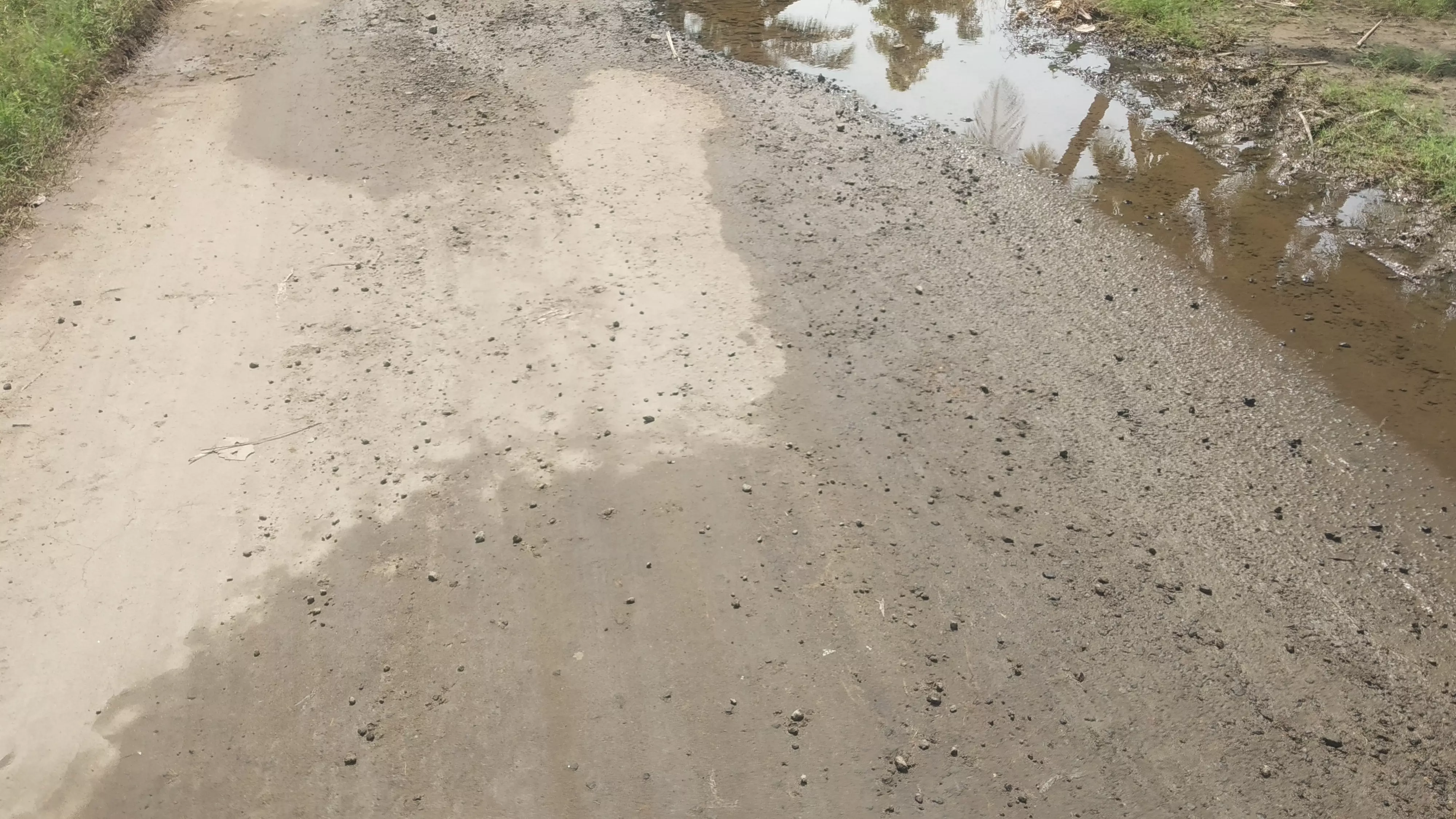 தார்சாலை அமைக்க வேண்டும்