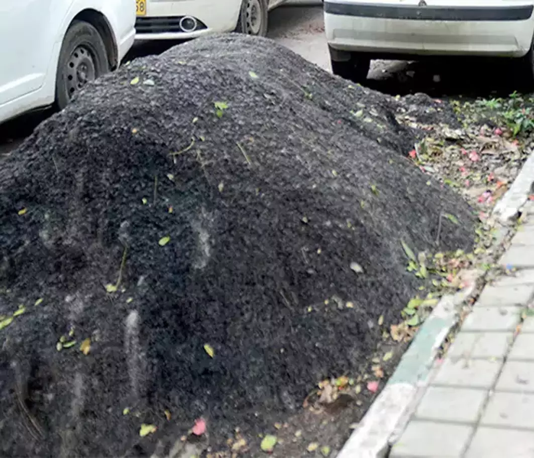 வாகன நிறுத்தத்திற்கு இடையூறாக தார் கலவை