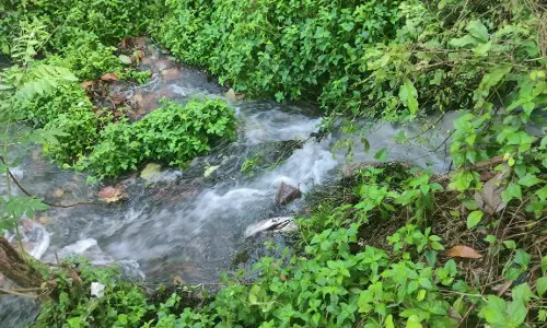 மறுகால் ஓடையில் உடைப்பு மறுகால் ஓடையில் உடைப்பு