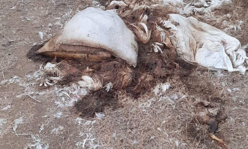 சுகாதார சீர்ேகடு சுகாதார சீர்ேகடு