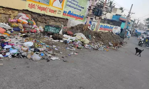 குப்பைகளை அகற்றுவார்களா?