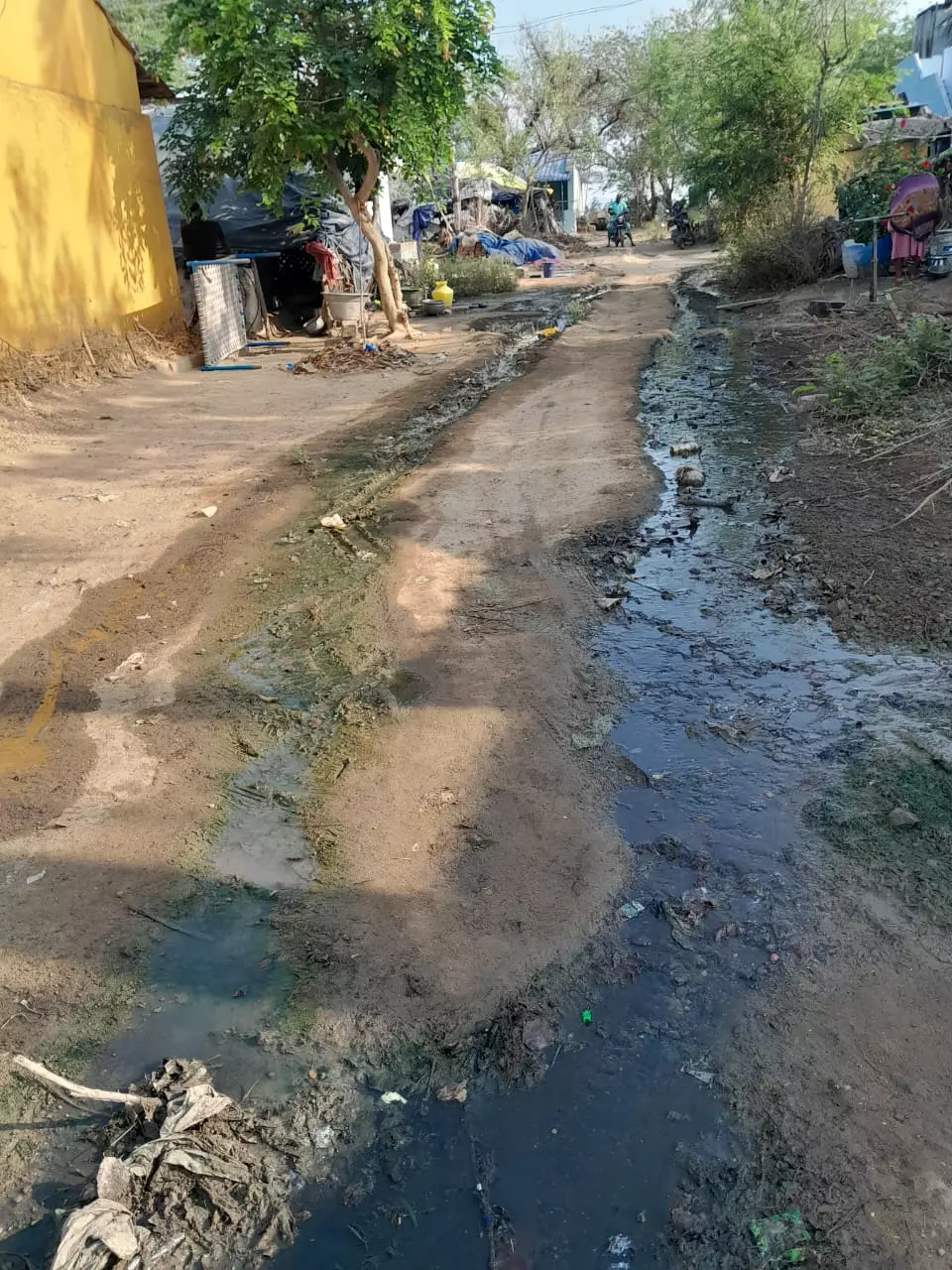 தேங்கி நிற்கும் கழிவுநீர் தேங்கி நிற்கும் கழிவுநீர்