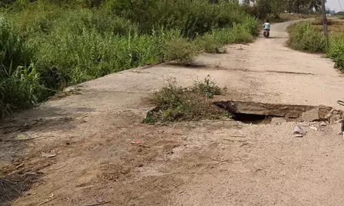 பாலம் சேதம்