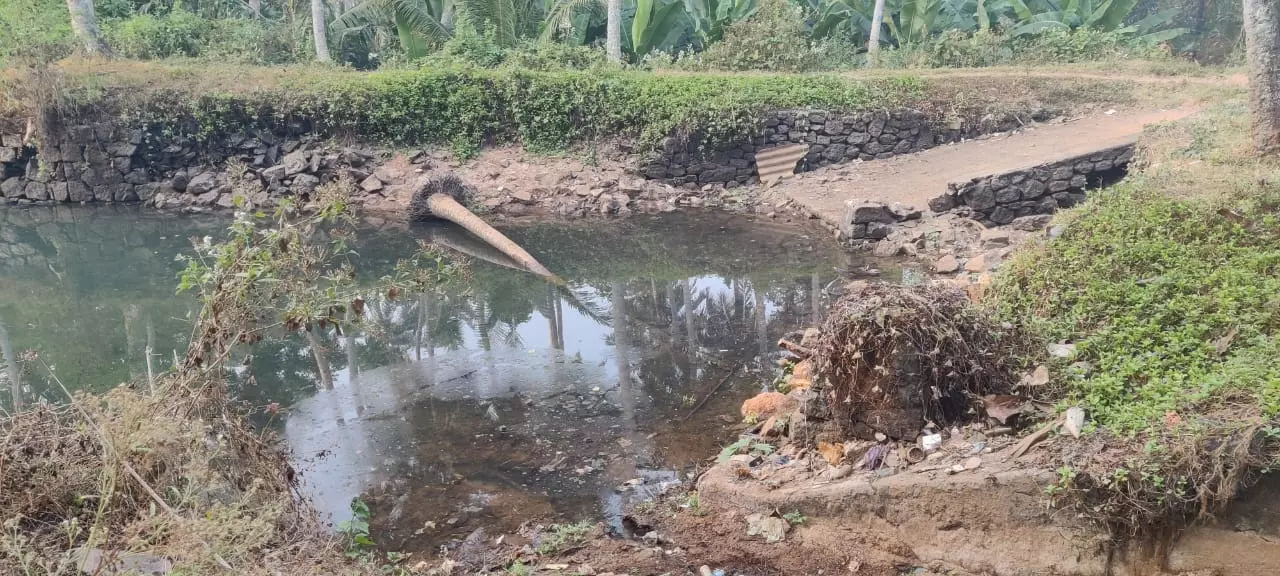 குளம் தூர்வாரப்படுமா?
