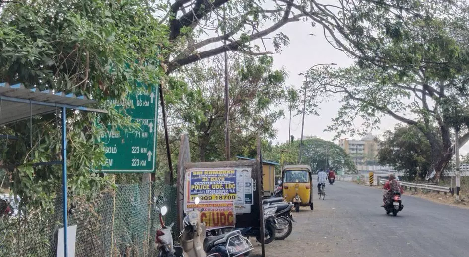 மரக்கிளையால் மறைந்த வழிகாட்டி