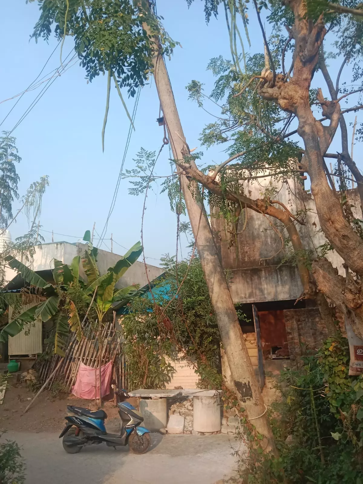 இப்ப விழுமோ... எப்ப விழுமோ... இப்ப விழுமோ... எப்ப விழுமோ...