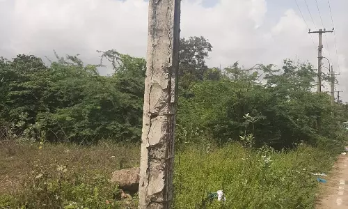 எலும்புக்கூடான மின்கம்பம் எலும்புக்கூடான மின்கம்பம்