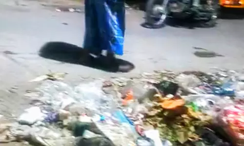 குப்பைகளால் சுகாதார சீர்கேடு