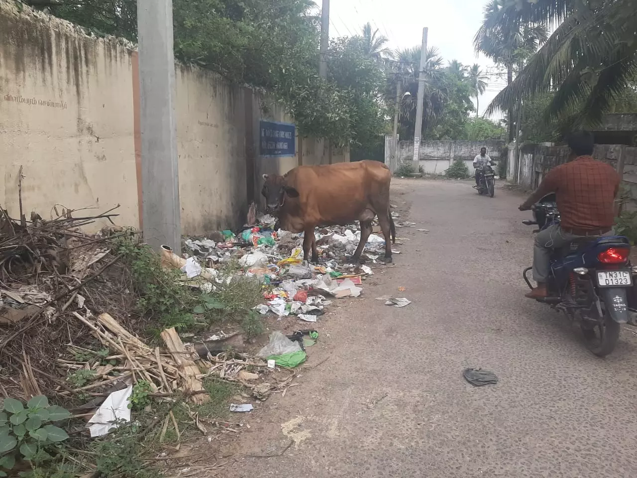 குவிந்து கிடக்கும் குப்பை குவிந்து கிடக்கும் குப்பை