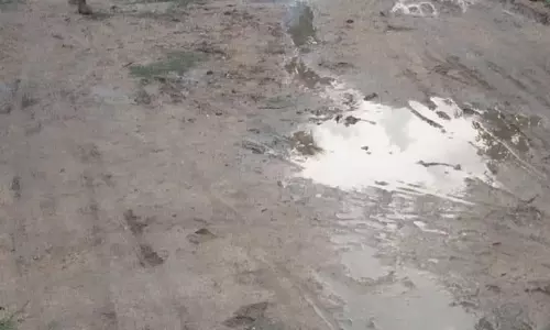 தேங்கும் மழைநீரில் கொசு உற்பத்தி தேங்கும் மழைநீரில் கொசு உற்பத்தி