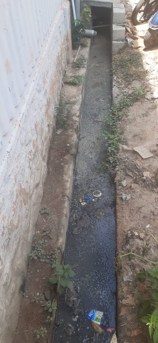 நடவடிக்கை அவசியம்