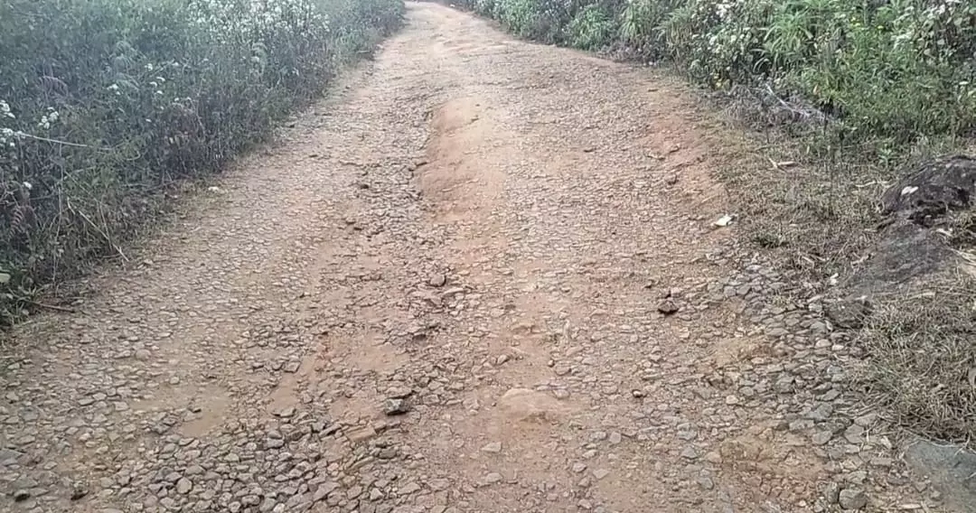 பழுதடைந்த சாலை பழுதடைந்த சாலை