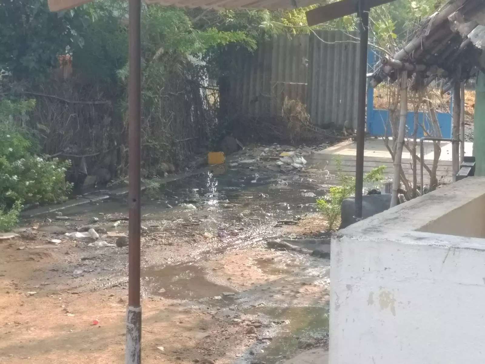 நோய் தொற்று பரவும் அபாயம்