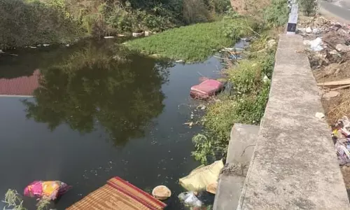 கடும் துர்நாற்றம் கடும் துர்நாற்றம்