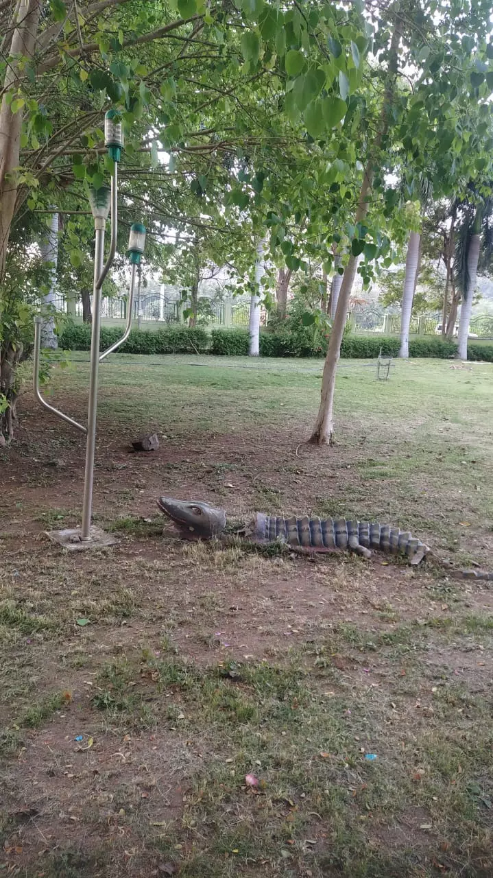 சேதமடைந்த விலங்கு பொம்மை சிலைகள்