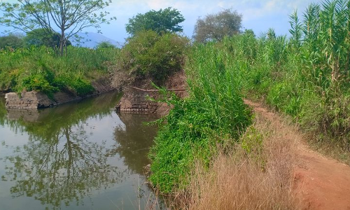 முல்லைப்பெரியாற்று கரைப்பகுதி சேதம்