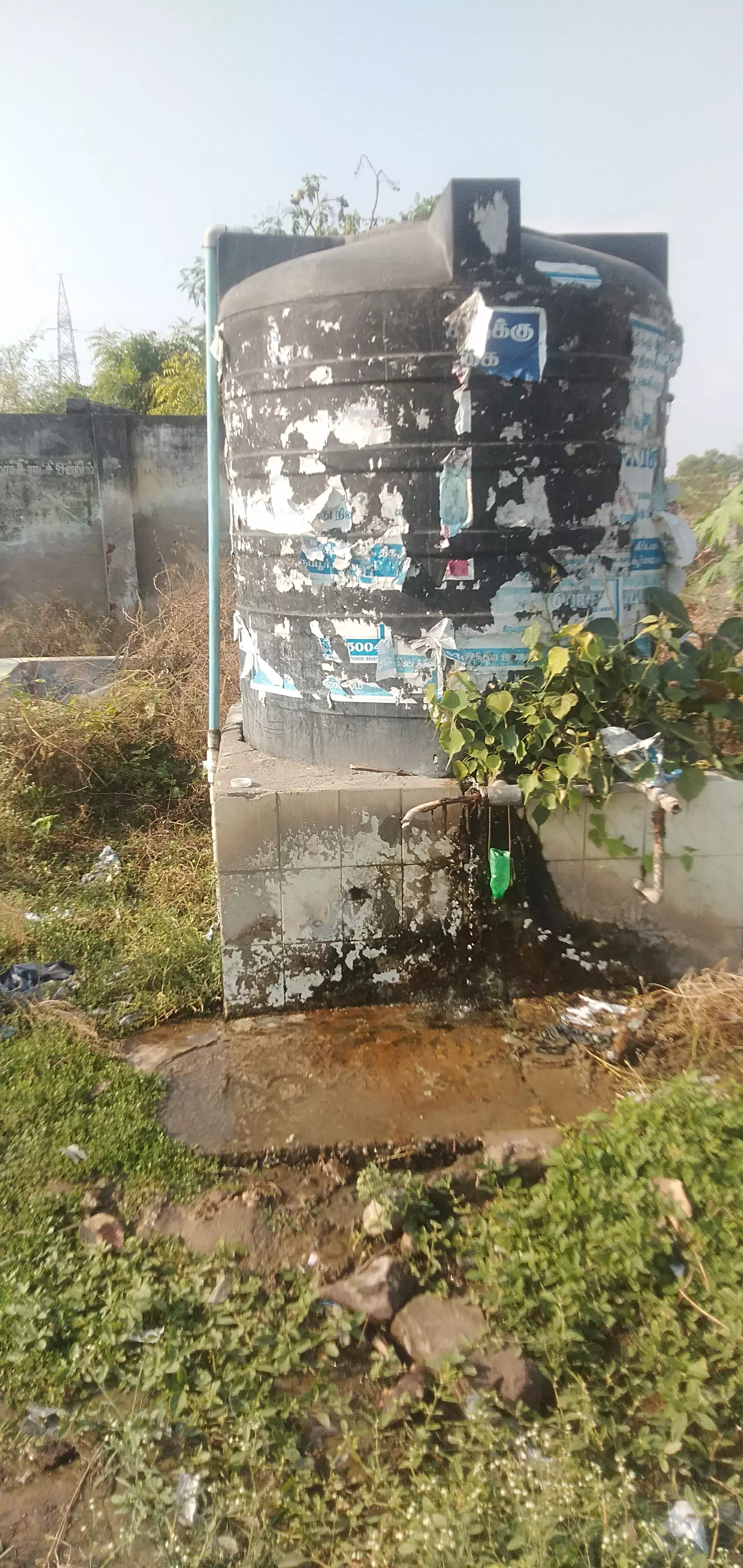 விஷ ஜந்துகள் நடமாட்டம் விஷ ஜந்துகள் நடமாட்டம்