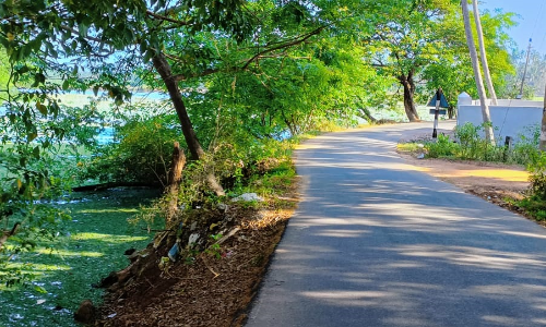 விபத்து தடுப்புச்சுவர் தேவை