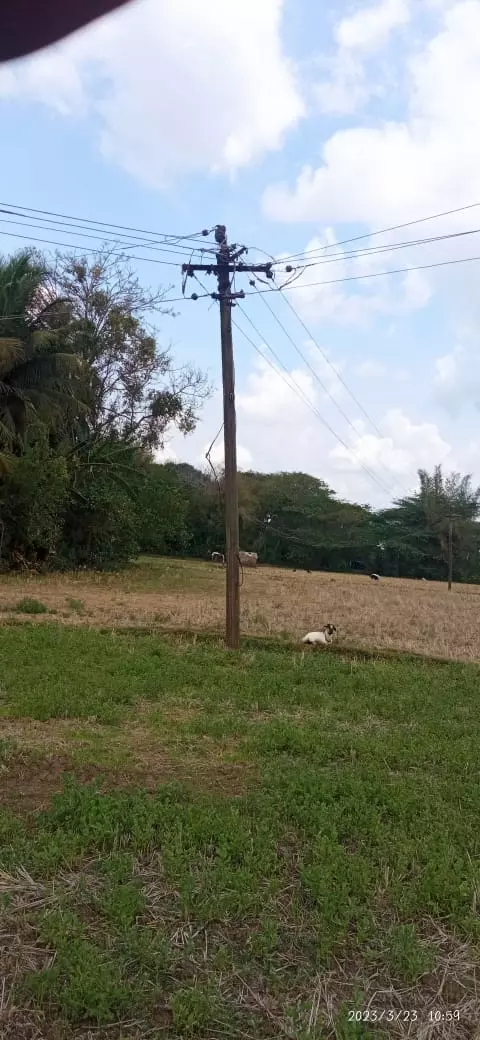 மின்கம்பம் சீரமைக்கப்படுமா?