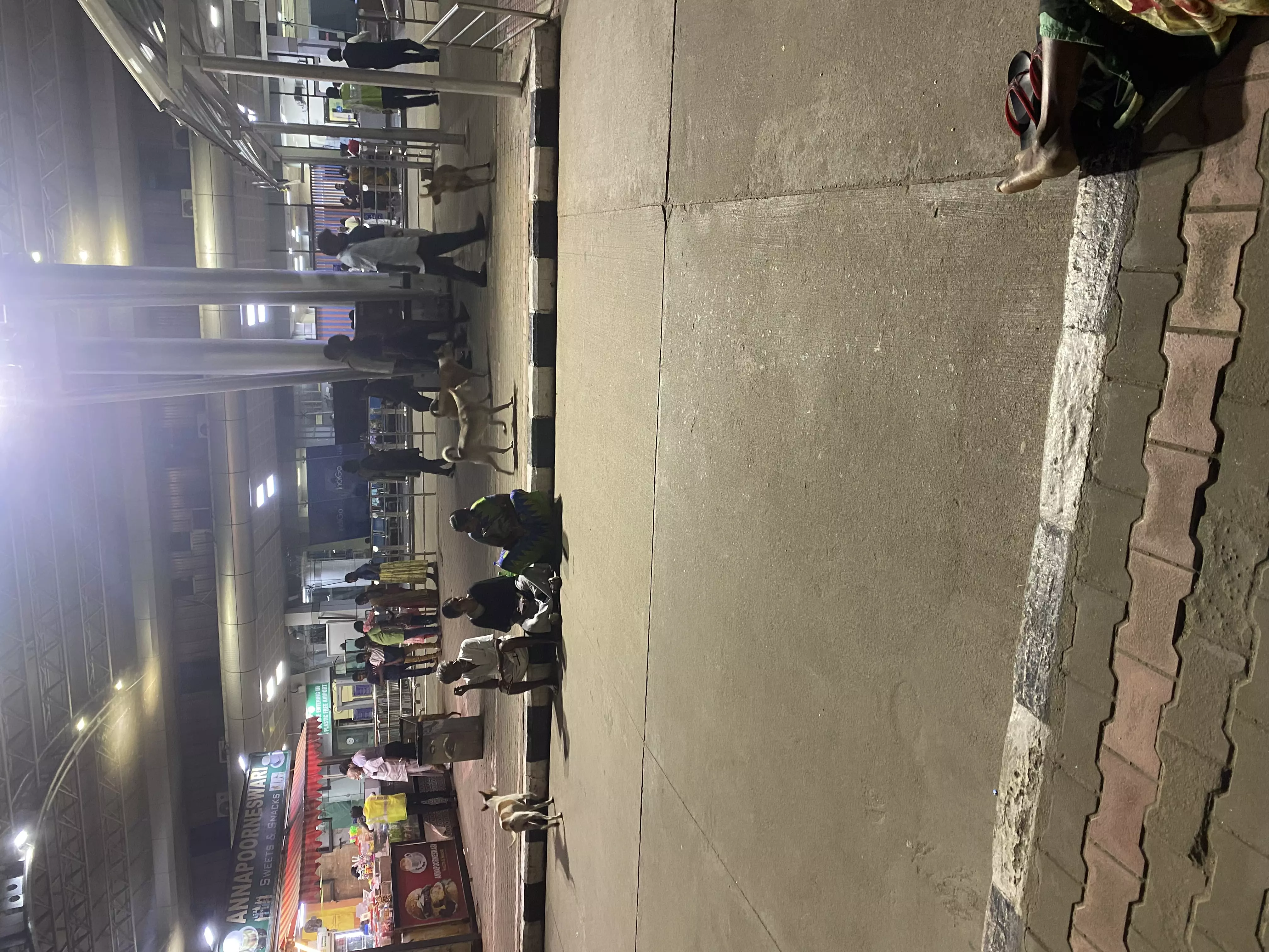 தெருநாய்கள் தொல்லை தெருநாய்கள் தொல்லை