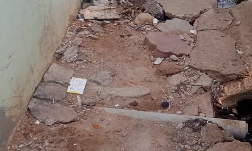 நடவடிக்கை எடுப்பார்களா?