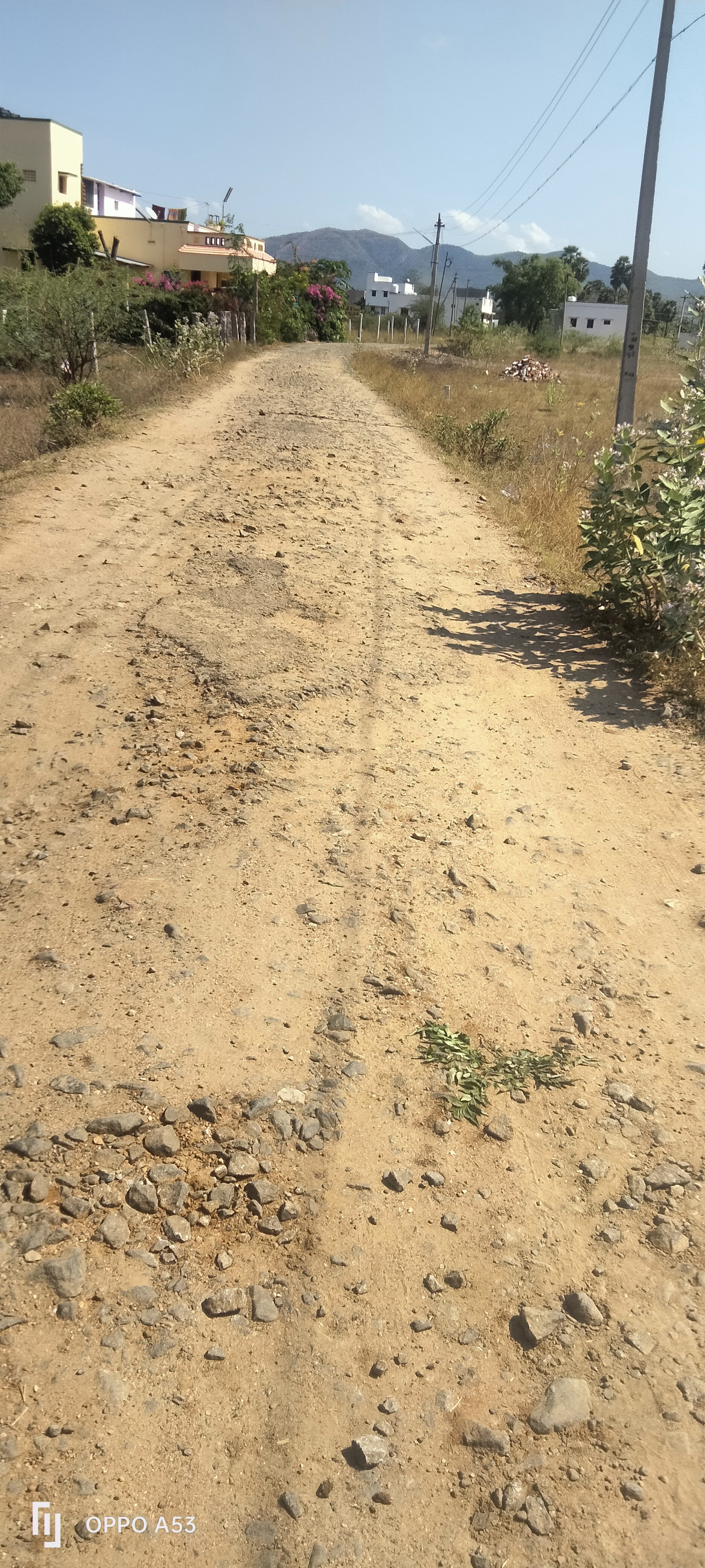 சாலை சீரமைக்கப்படுமா?