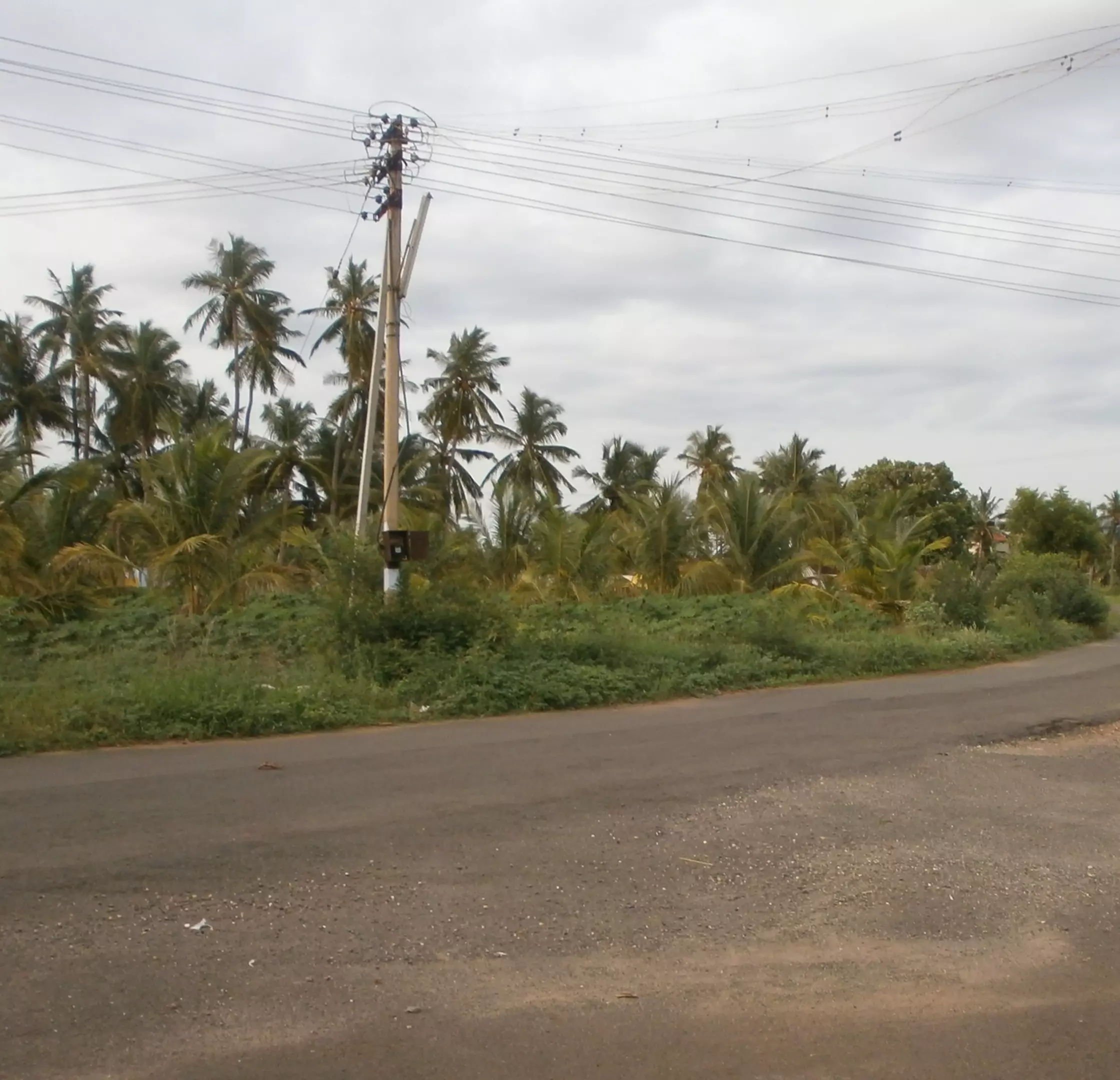 எரியாத மின்விளக்கு எரியாத மின்விளக்கு