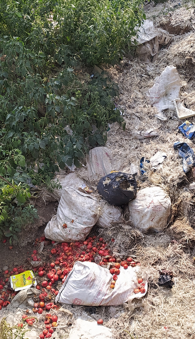 சாலையோரம் வீசப்படும் இறைச்சி கழிவுகள்