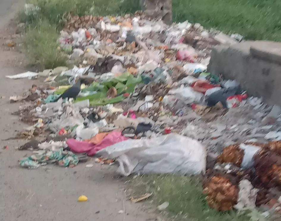 குவிந்துள்ள குப்பைகள் குவிந்துள்ள குப்பைகள்