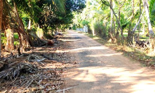 சீரமைக்கப்படாத வடிகால் வாய்க்கால் சீரமைக்கப்படாத வடிகால் வாய்க்கால்