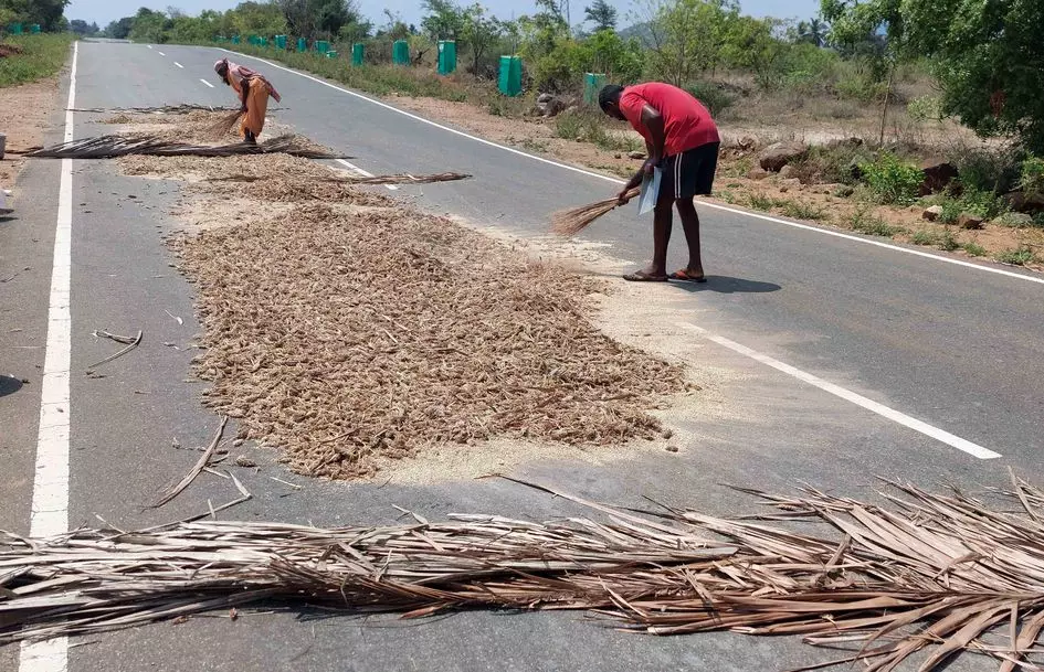 உலர்களமாக மாறிய சாலை